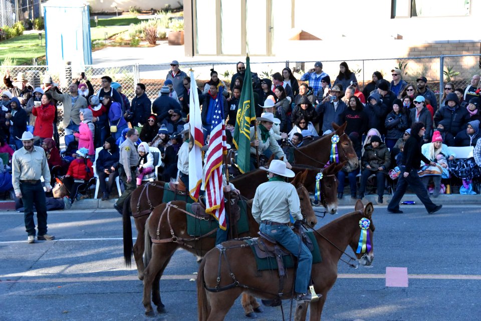 20190128-FS-RoseParade-JF-005