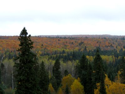 20181009-FS-Superior-SAR-009