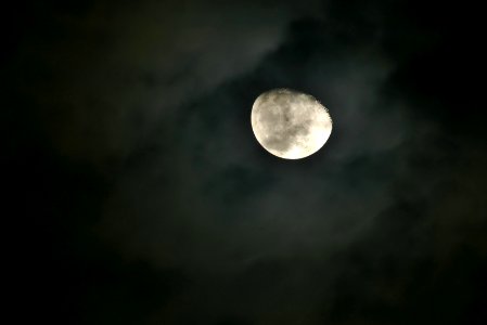 bulan