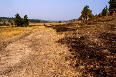 Bobcat Fire 2020