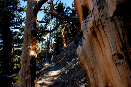 20181019-FS-Inyo-CMR-025