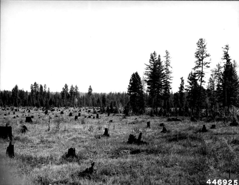 19470920-FS-Flathead-KDS-446925