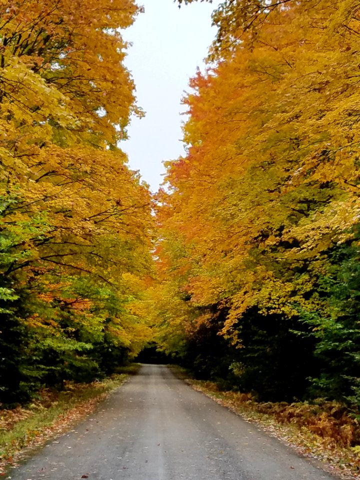 20181010-FS-HIAWATHA-SB-008