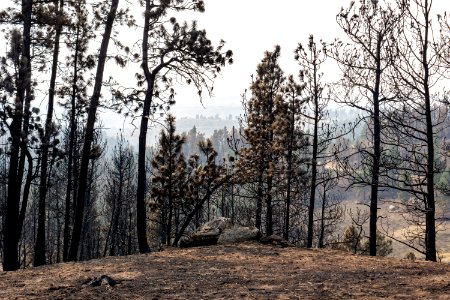 Bobcat Fire 2020