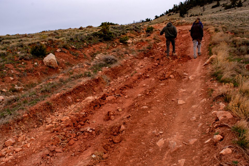 20200504 Pryor Mtns 26