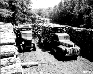 1942XXXX-FS-North Carolina-BWM-420797