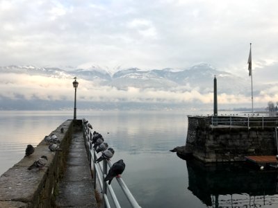 IMG 0027