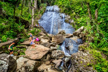 20180322-FS-Yunque-PJK-036