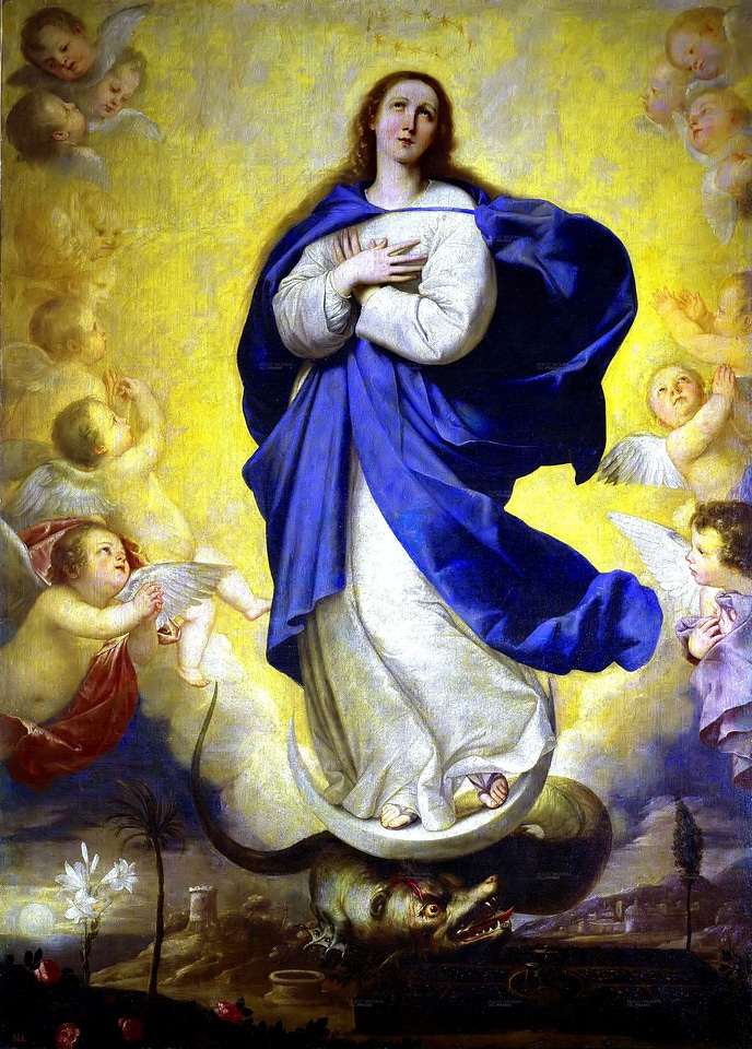 Maria immaculate catholic