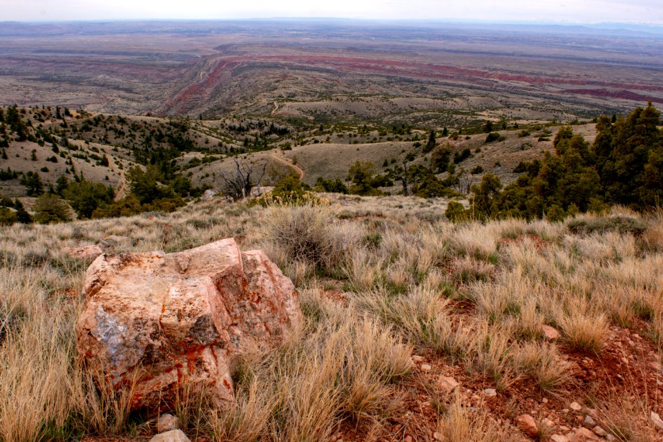 20200504 Pryor Mtns 173