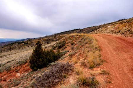 20200504 Pryor Mtns 134