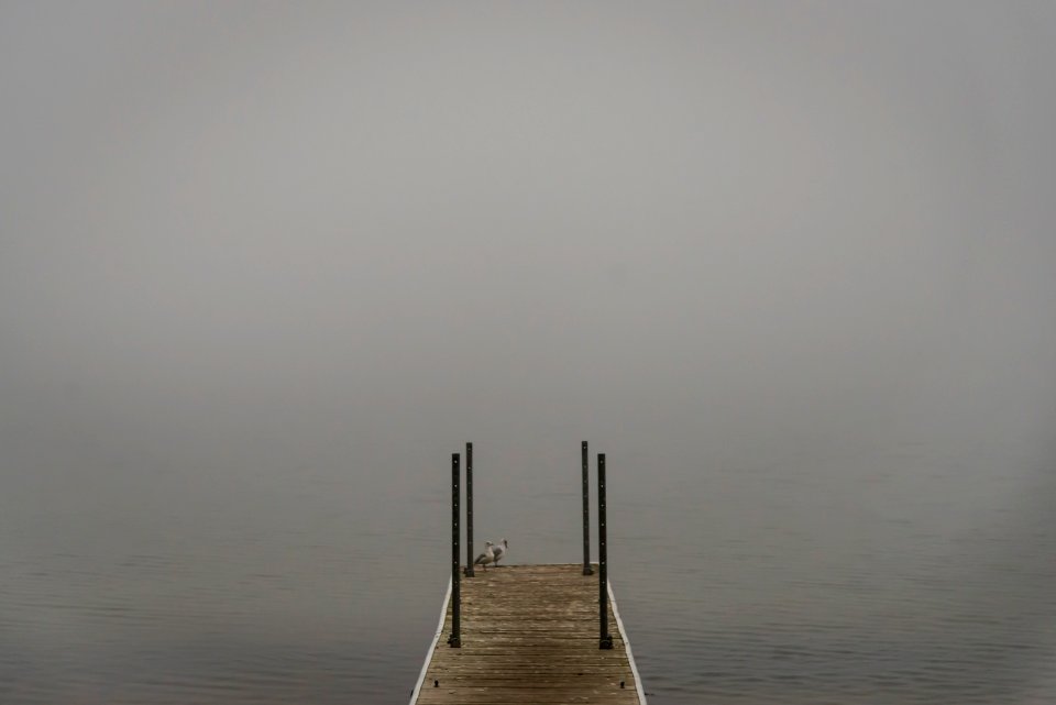 180914-fs-chippewa-rf1-nwbfogfall-2