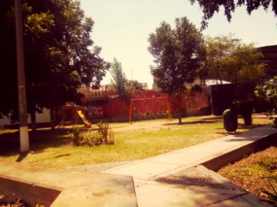 Día soleado