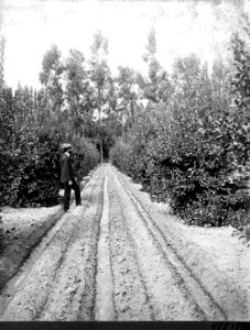 1903XXXX-FS-California-AG-48818