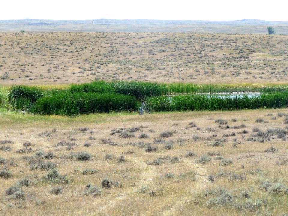 BLM Glasgow stands watch against West Nile Virus 2016 PHOTO 6