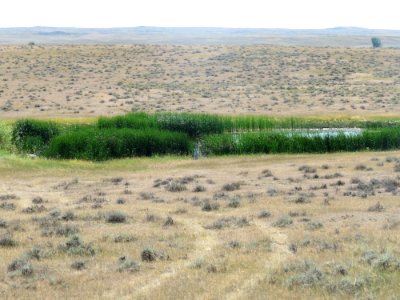 BLM Glasgow stands watch against West Nile Virus 2016 PHOTO 6