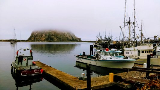 Morro bay docks, CA photo