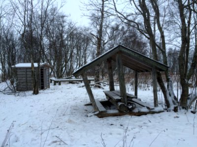 20160124 102821639 iOS