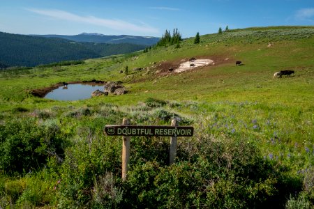 20180710-FS-Beaverhead-PJK-2501