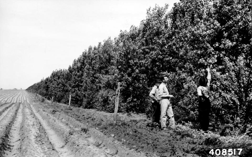 194105XX-FS-Texas-WHS-408517
