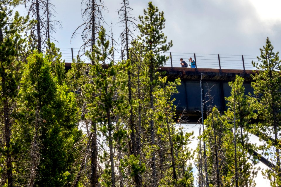 20180712-FS-Beaverhead-PJK-1352