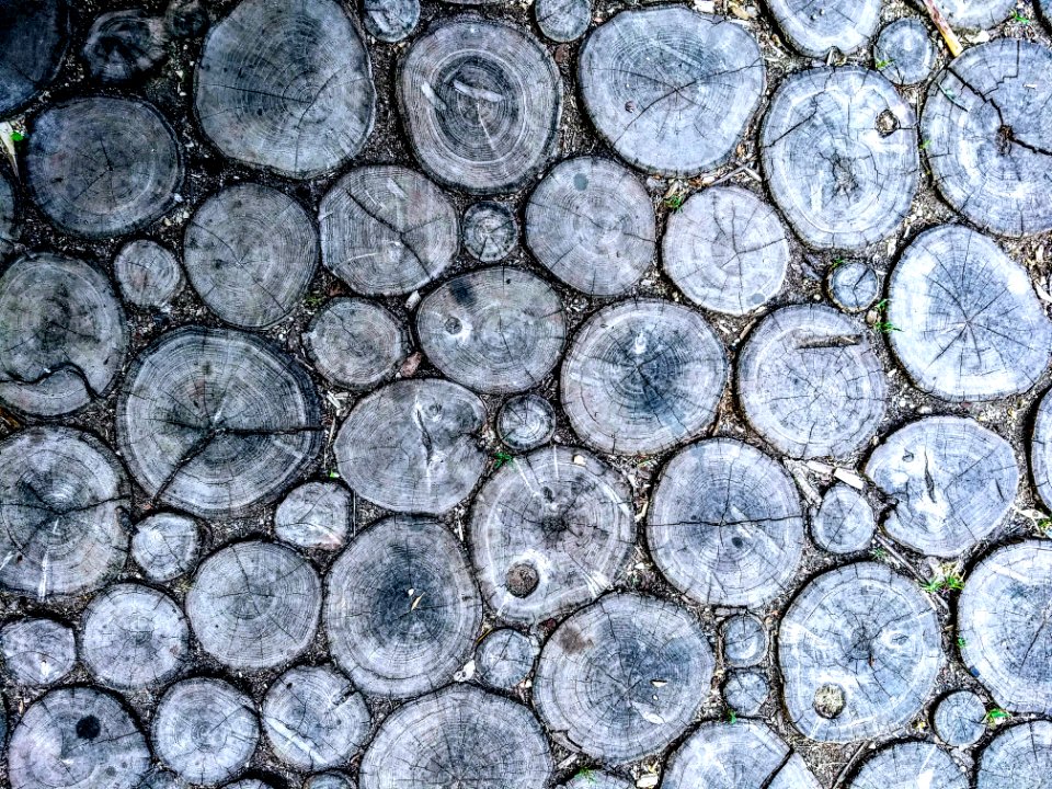 Vintage robinia floor
