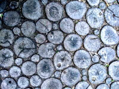 Vintage robinia floor