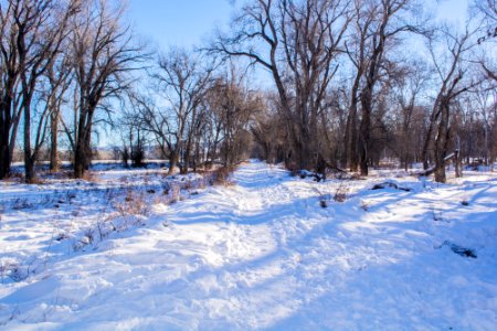 Sundance Lodge Winter 2017