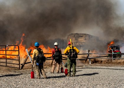 Pompeys Pillar Rx Burn