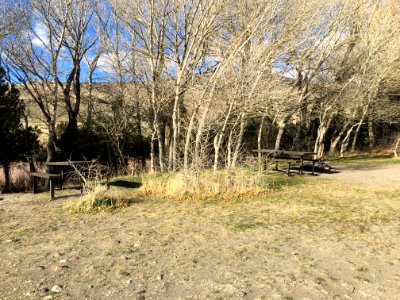 Carbella Rec Area 20161113 (11)