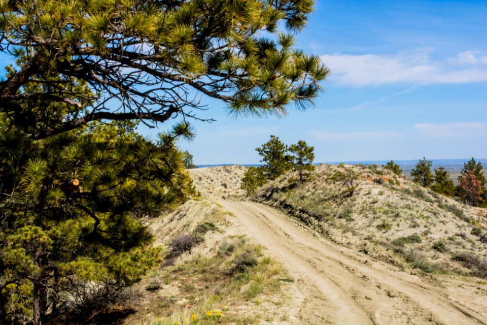 Acton Recreation Area