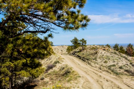 Acton Recreation Area