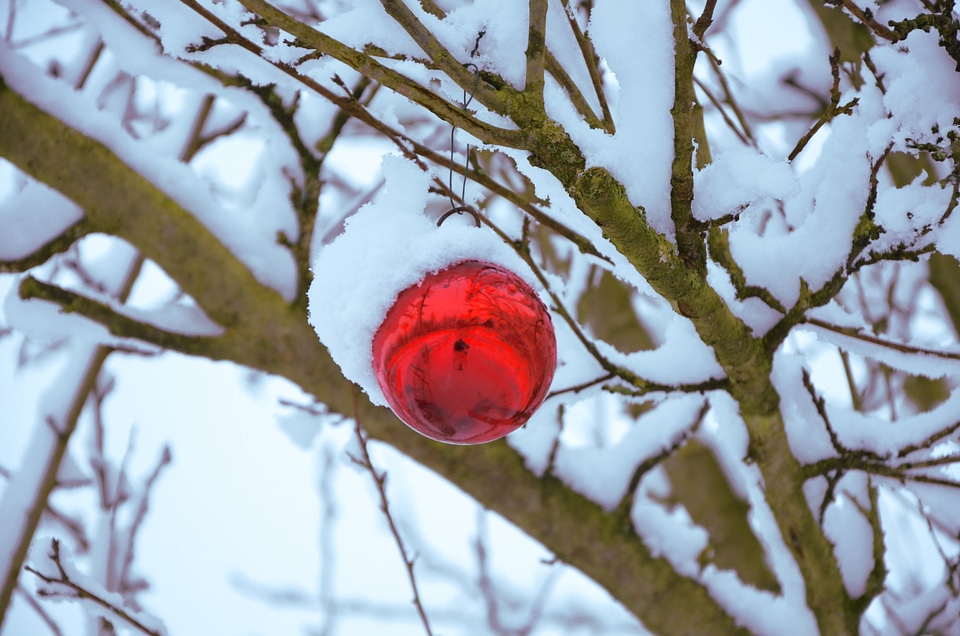 Decoration winter xmas