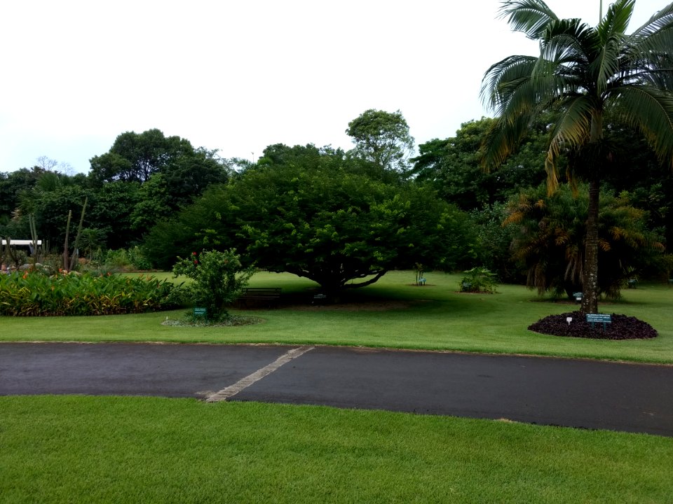 Jardim Botânico Plantarum