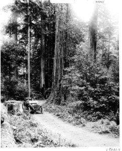 191908XX-FS-Siskiyou-XX-18023