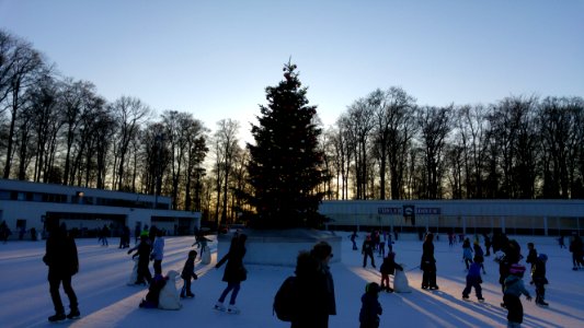 Eisbahn Dolder
