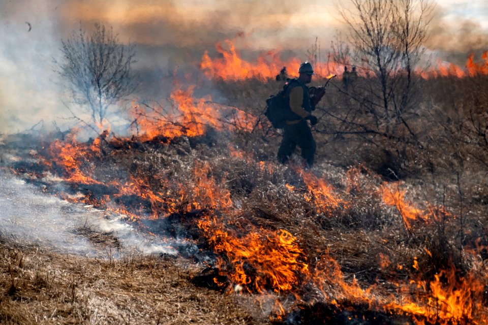 Pompeys Pillar National Monument Prescribed Fire