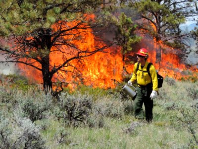 BLM Central Montana Fire Zone Plans Prescribed Fire Projects 2016 photo
