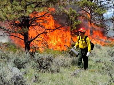 BLM Central Montana Fire Zone Plans Prescribed Fire Projects 2016