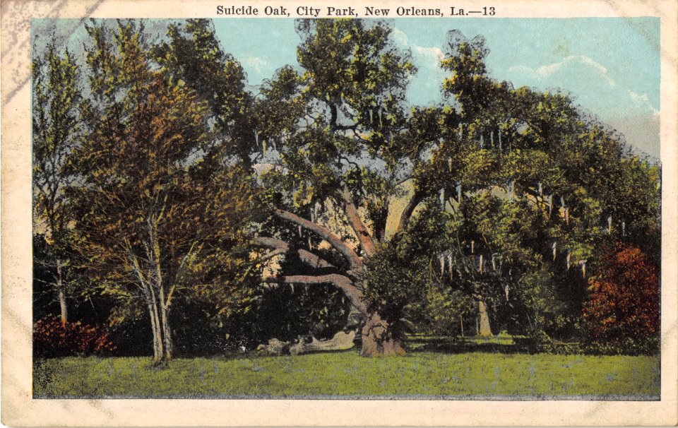 SUICIDE OAK CITY PARK NEW ORLEANS LUISIANA