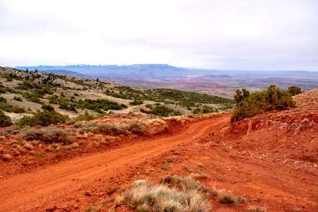 20200504 Pryor Mtns 10 1
