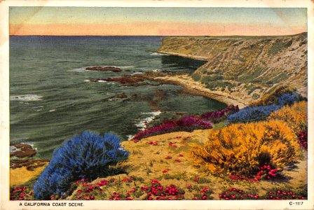 A CALIFORNIA COAST SCENE