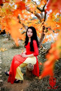 Áo Dài Việt Nam - zeus studio