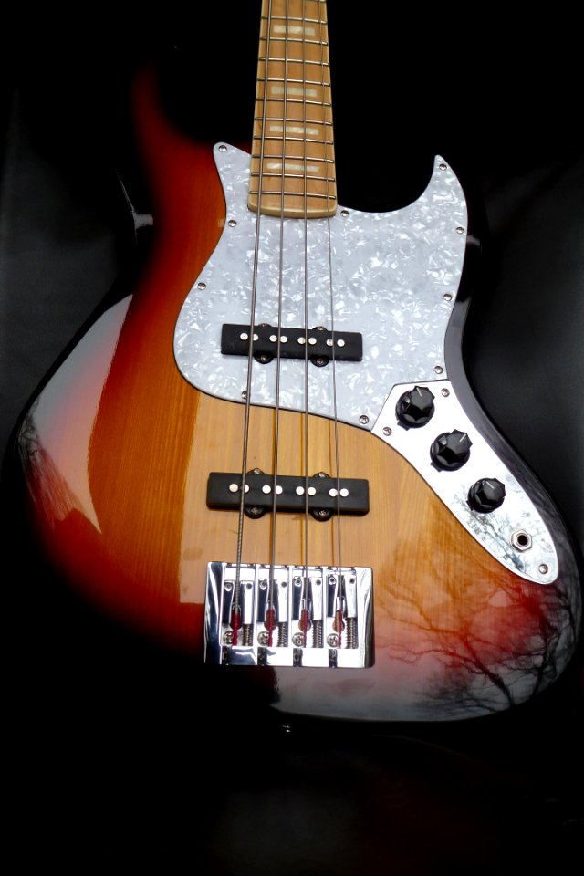 Sx Ursa jazzbass