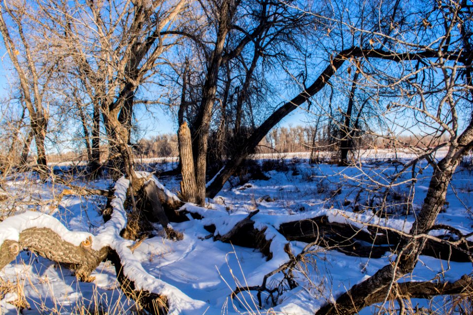 Sundance Lodge Recreation Area