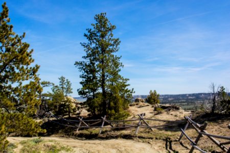 Acton Recreation Area