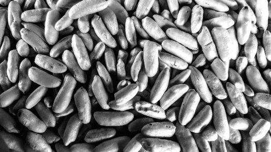 Muri (puffed rice)