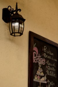 VACAS AGOSTO 2016 56