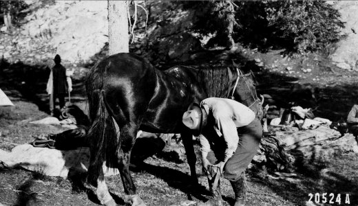 19140914-FS-Bridger-WCB-20524
