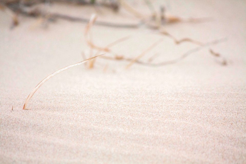 건조한 메마른 사막 모래 Dry desert Barren Sand